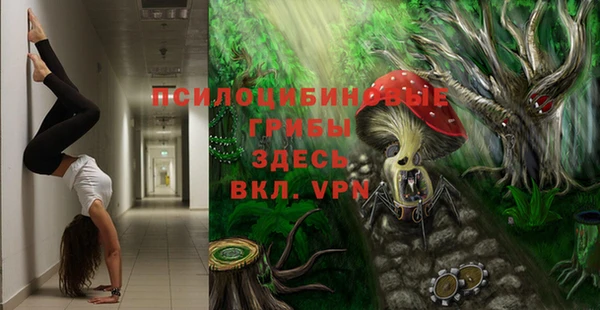 не бодяженный Алзамай