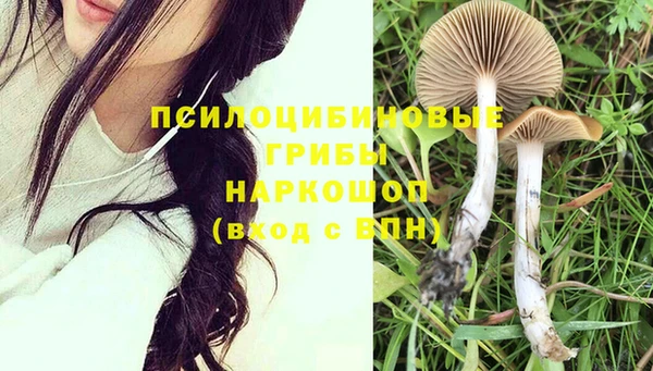ГАЛЛЮЦИНОГЕННЫЕ ГРИБЫ Алексеевка