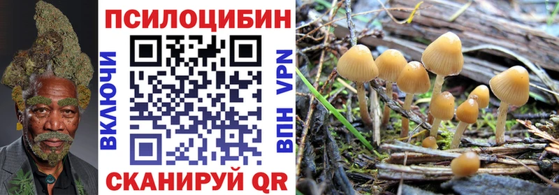 Псилоцибиновые грибы Magic Shrooms  Советская Гавань 